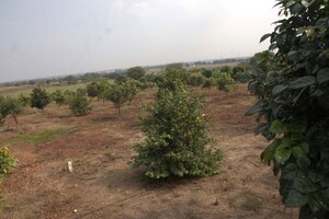 Plot Area in  Plot at Kandukur – for Sale