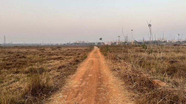 undefined, patrapada  1232 Sq.Ft. Plot In Patrapada Bhubaneswar 10431571