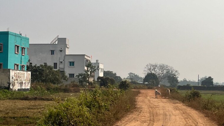Exterior View, patrapada  1232 Sq.Ft. Plot In Patrapada Bhubaneswar 10431571