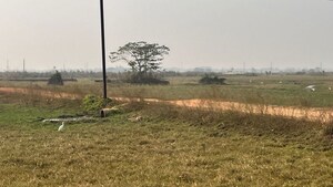 Plot Area in  Plot at Patrapada – for Sale