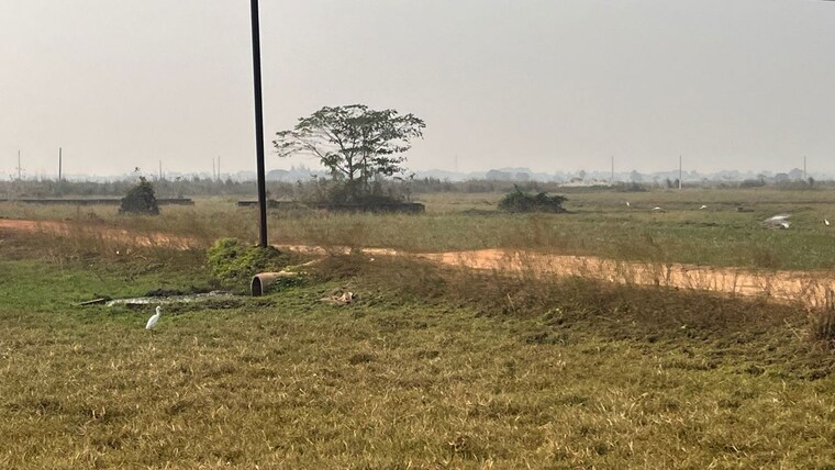 undefined, patrapada  1232 Sq.Ft. Plot In Patrapada Bhubaneswar 10431571