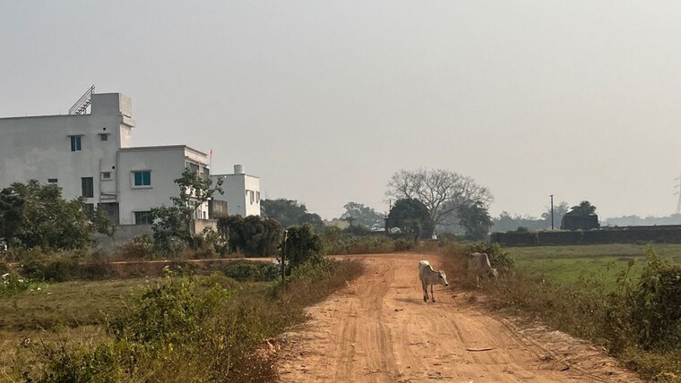 undefined, patrapada  1232 Sq.Ft. Plot In Patrapada Bhubaneswar 10431571