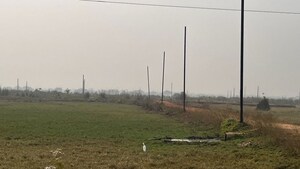 Plot Area in  Plot at Patrapada – for Sale