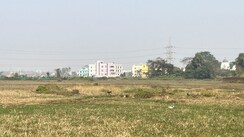Plot For Sale in Patrapada