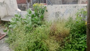  Independent House – Exterior View View at Purian Mohalla - for Sale