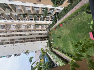 3 BHK Apartment For Rent in Amrapali Terrace Homes, Tech Zone 4 Greater Noida