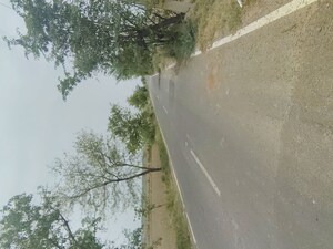  Plot For Sale in Badli 
