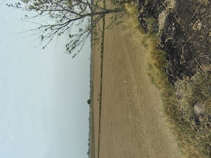   Plot at Badli  – for Sale