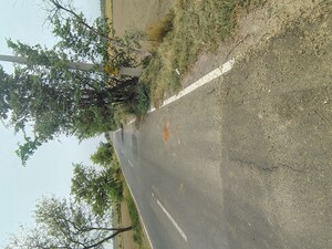   Plot at Badli  – for Sale