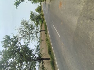   Plot at Badli  – for Sale
