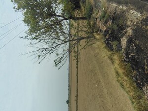 Plot Area in  Plot at Badli  – for Sale