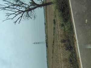   Plot at Badli  – for Sale