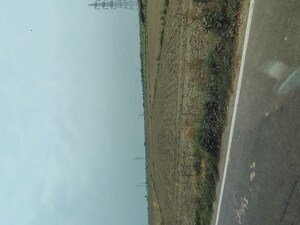   Plot at Badli  – for Sale