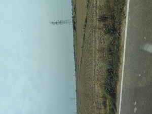  Plot For Sale in Badli 