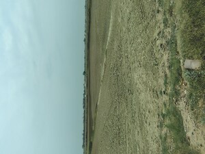 Plot Area in  Plot at Badli  – for Sale