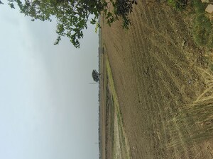 Plot Area in  Plot at Badli  – for Sale