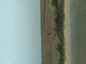  Plot For Sale in Badli 