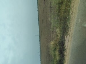 Plot Area in  Plot at Badli  – for Sale