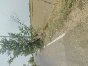 Plot Area in  Plot at Badli  – for Sale