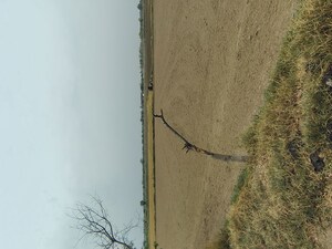 Plot Area in  Plot at Badli  – for Sale