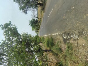   Plot at Badli  – for Sale