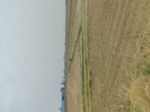  Plot For Sale in Badli 