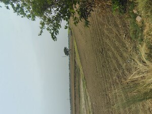 Plot Area in  Plot at Badli  – for Sale