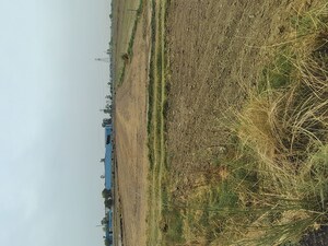 Plot Area in  Plot at Badli  – for Sale