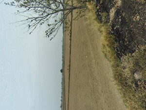   Plot at Badli  – for Sale