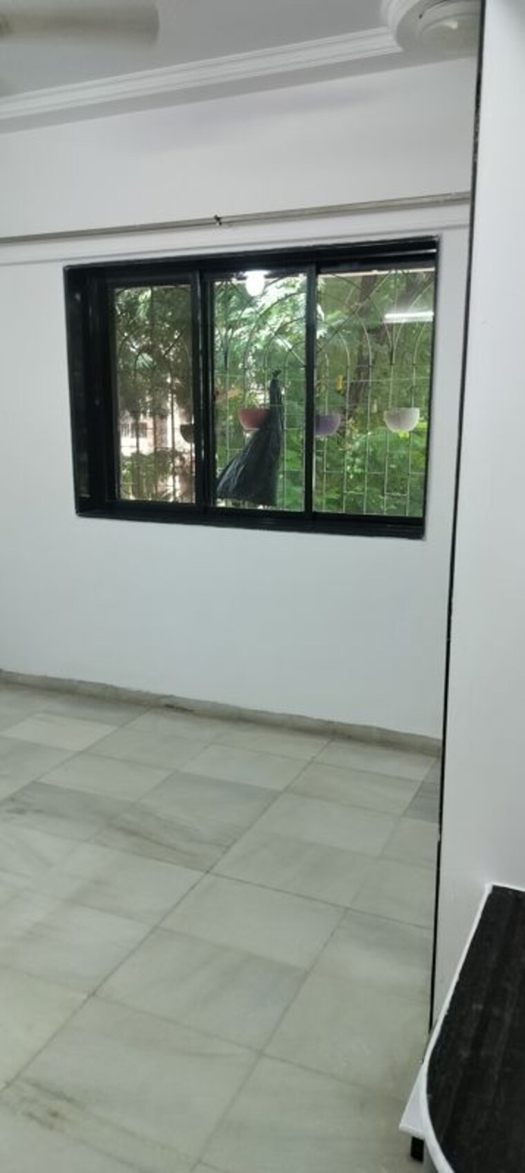 Room, florida-apartment 2 Bedroom 800 Sq.Ft. Apartment In Andheri West Mumbai 10432375