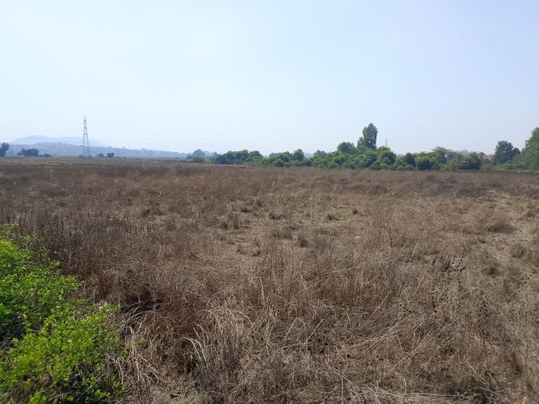 undefined, chirner  1089 Sq.Ft. Plot In Chirner Navi Mumbai 10432875