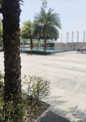 Swimming Pool in 3.5 BHK Apartment at ACE Parkway, Sector 150 – for Rent