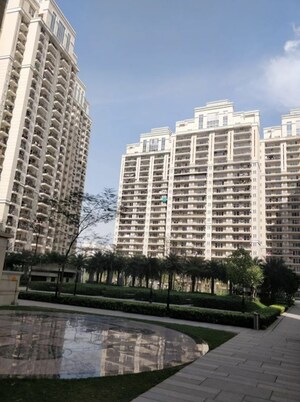 3.5 BHK Apartment – Exterior View View at ACE Parkway, Sector 150 - for Rent