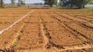  Plot For Sale in Khuntgaon