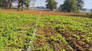 Plot Area in  Plot at Khuntgaon – for Sale