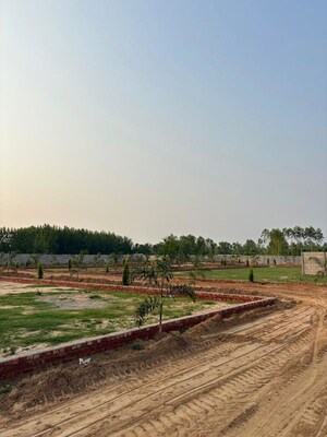 Plot Area in  Plot at Sunderpur – for Sale