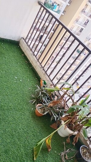 2 BHK Apartment – Exterior View View at Panchsheel Greens II, Sector 16 Greater Noida - for Sale