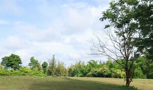 Plot Area in  Plot at Ayana Ville by The Earthscapes, Anaikatti – for Sale