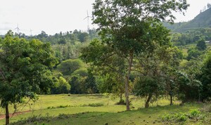 Plot – Exterior View View at Ayana Ville by The Earthscapes, Anaikatti - for Sale