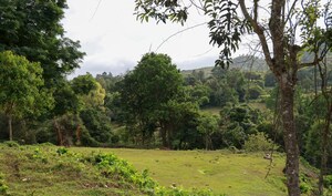 Plot Area in  Plot at Ayana Ville by The Earthscapes, Anaikatti – for Sale