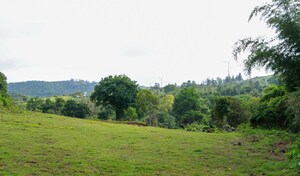  Plot For Sale in Ayana Ville by The Earthscapes, Anaikatti