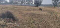 Plot For Sale in Chamrajpet