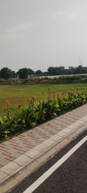 Plot Area in  Plot at Newstone Coral Park, Sector 84a – for Sale
