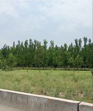  Plot For Sale in Marwari Ganj