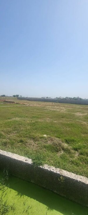Plot Area in  Plot at Sector 82 – for Sale