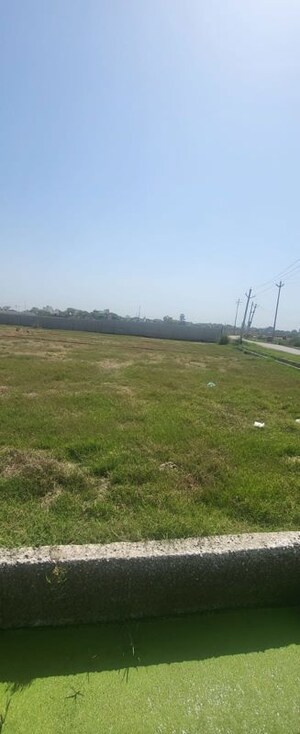  Plot For Sale in Sector 82