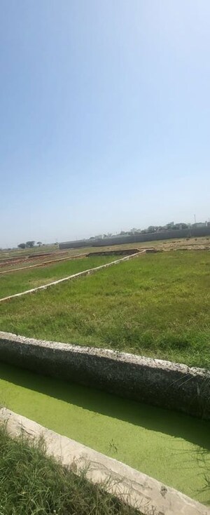 Plot Area in  Plot at Sector 82 – for Sale