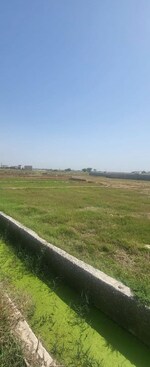 228 Sq.Mt. Plot in Sector 82