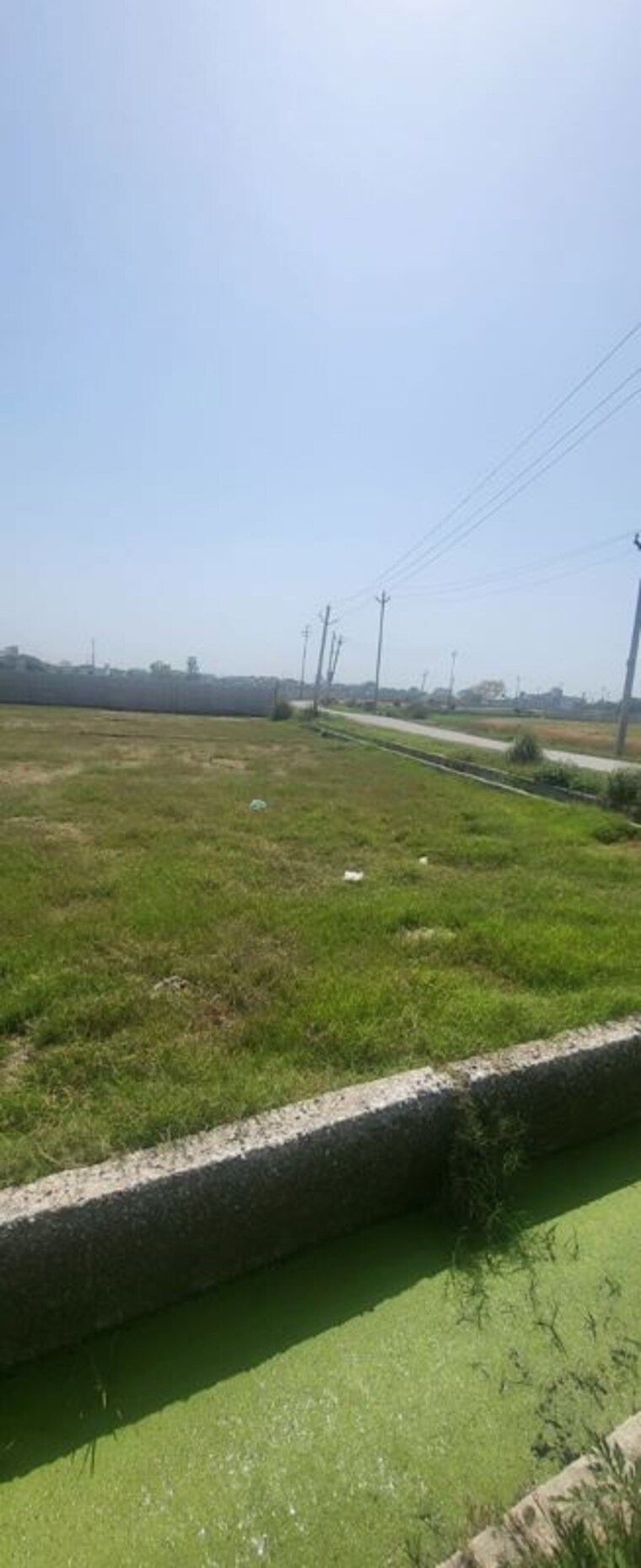 Garden, sector 55  202 Sq.Mt. Plot In Sector 55 Noida 10433707