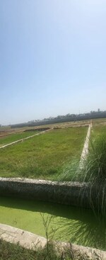 250 Sq.Yd. Plot in Sector 61